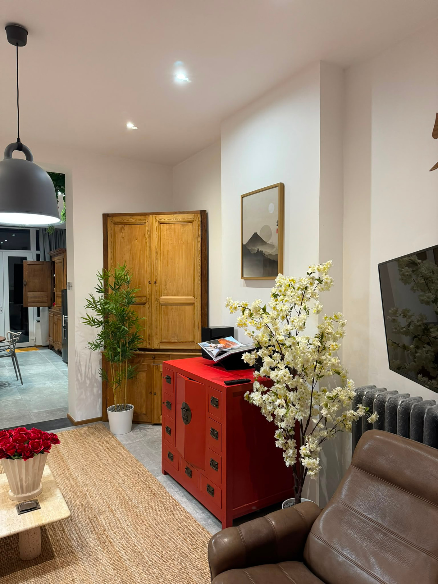 Meuble rouge du salon, plantes et vue vers l'entrée