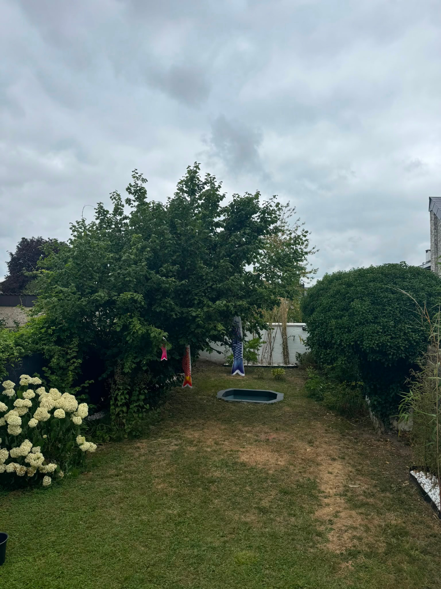 Jardin privatif avec pelouse, arbre, baignoire encastrée et koinobori