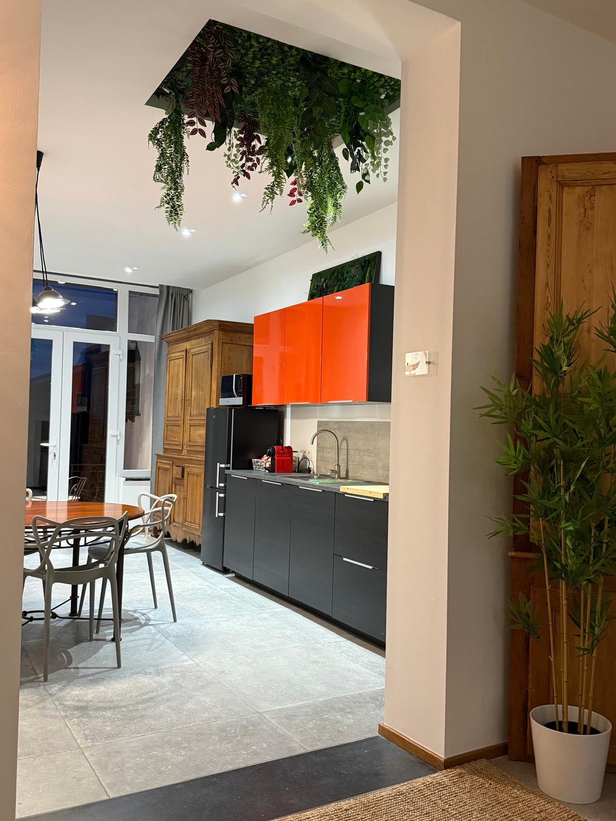 Cuisine moderne avec meubles rouges et noirs, réfrigérateur et plantes suspendues